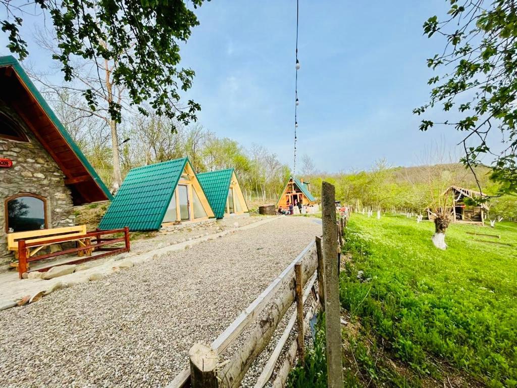 Villa Catunu' Lui Emil Carbunesti Exterior foto